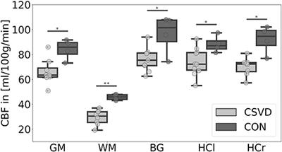 Microvascular Impairment in Patients With Cerebral Small Vessel Disease Assessed With Arterial Spin Labeling Magnetic Resonance Imaging: A Pilot Study